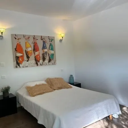 Standing Palombaggia 10 Personnes Vue Mer, Piscine Villa