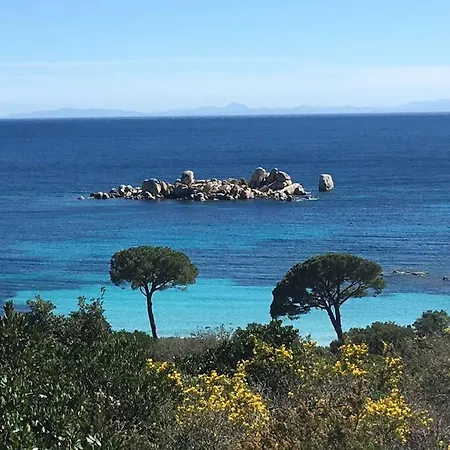 Standing Palombaggia 10 Personnes Vue Mer, Piscine